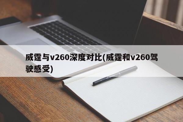 威霆与v260深度对比(威霆和v260驾驶感受)