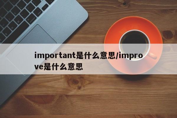 important是什么意思/improve是什么意思