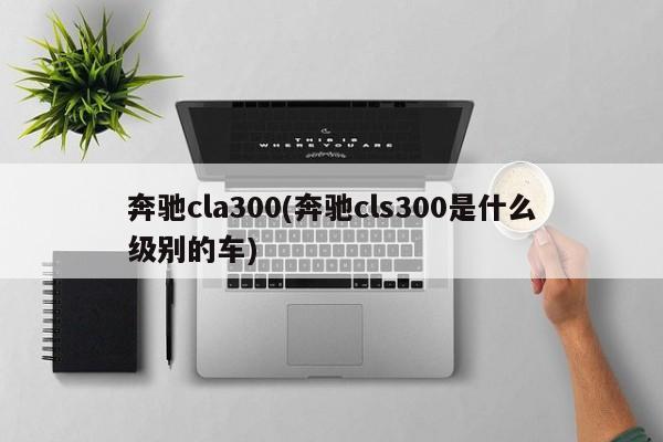 奔驰cla300(奔驰cls300是什么级别的车)