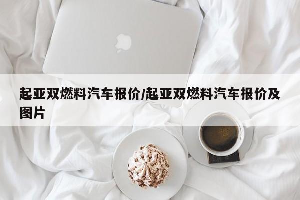起亚双燃料汽车报价/起亚双燃料汽车报价及图片