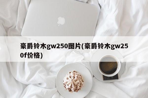 豪爵铃木gw250图片(豪爵铃木gw250f价格)